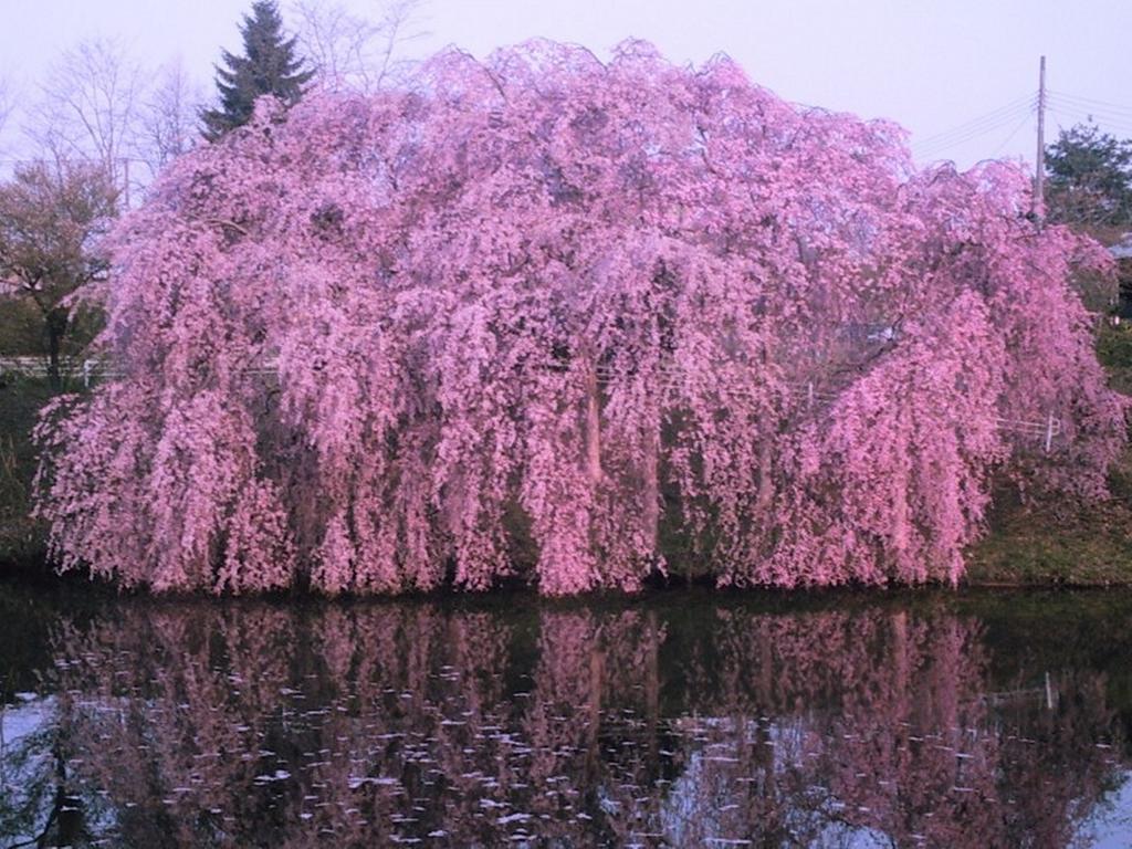 Yamayuri No Yado Hanamaki Extérieur photo