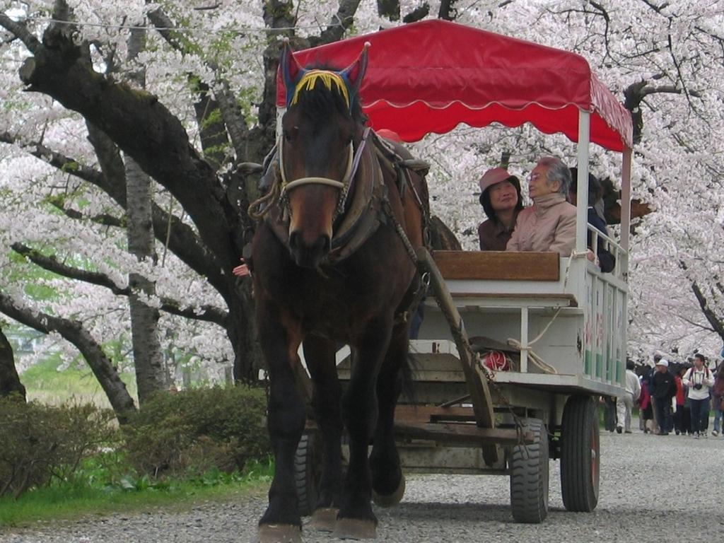 Yamayuri No Yado Hanamaki Extérieur photo
